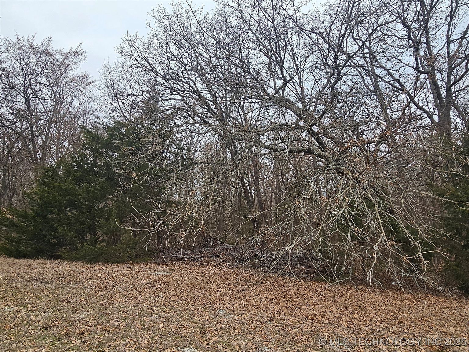 Rio Rd Burneyville, OK 73430 - Thumbnail 3