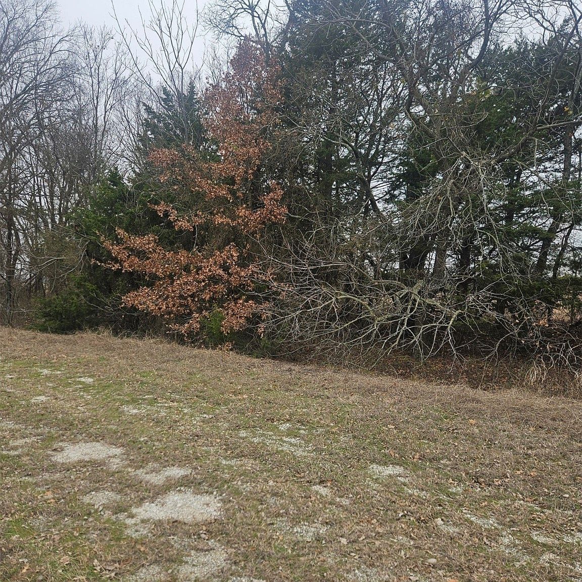 Red River Ave Burneyville, OK 73430 - Thumbnail 3