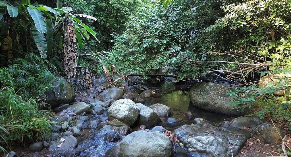 Cam La Vega Orocovis, PR 00720 - Thumbnail 3