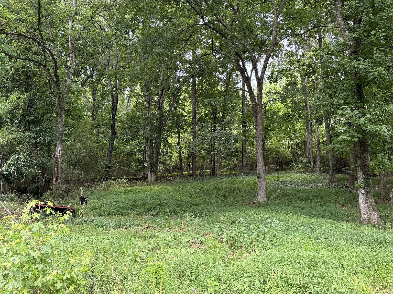 8907 Hidden Branches Rd Harrison, TN 37341 - Thumbnail 3