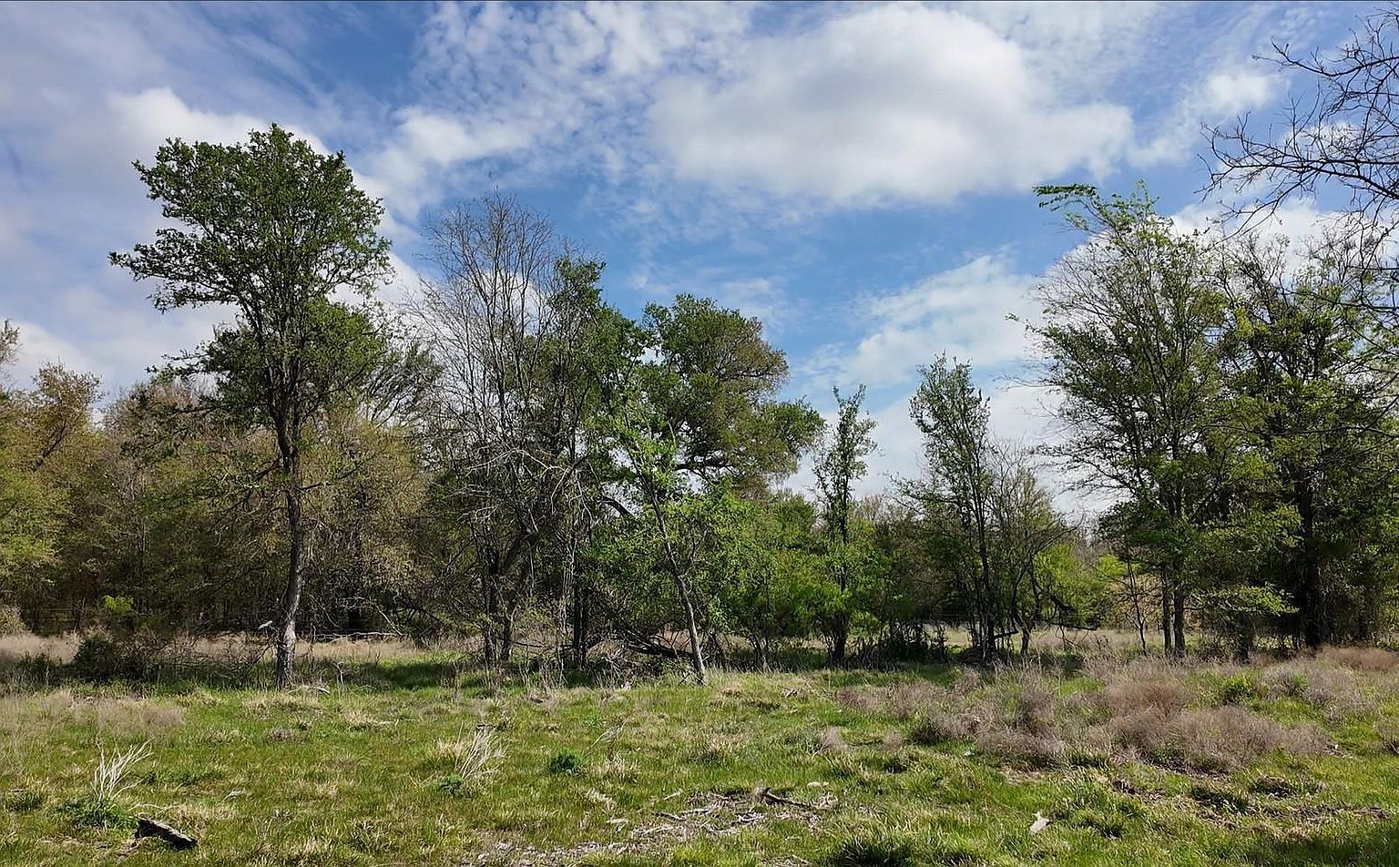 144 County Road 219 Cameron, TX 76520 - Thumbnail 3