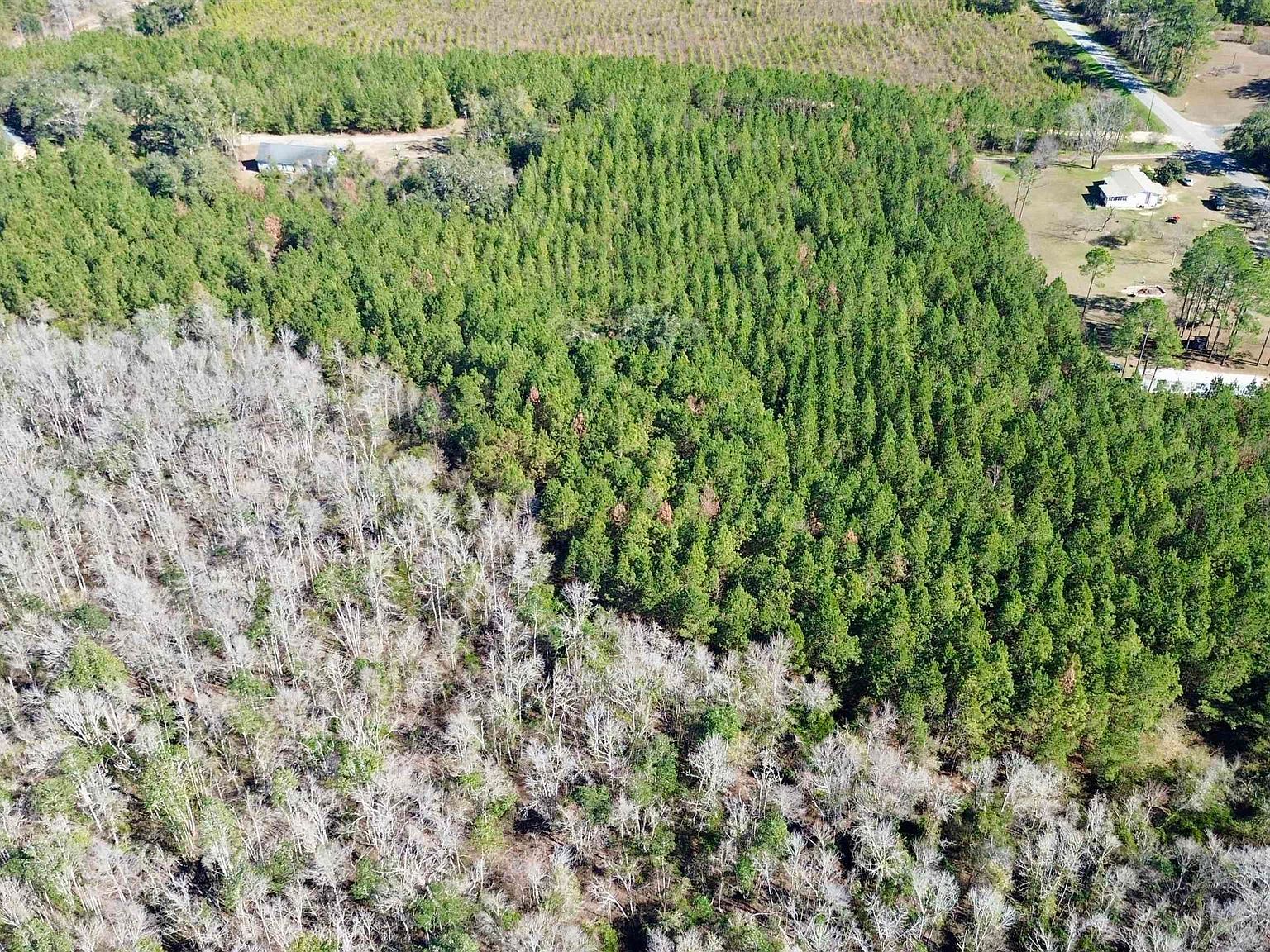 200 Samanthas Ln Monticello, FL 32344 - Thumbnail 3