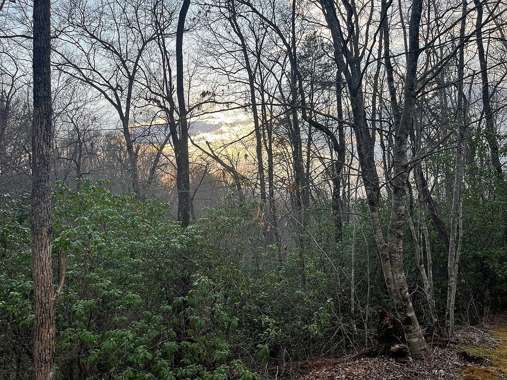 70 Canvasback Ct Whittier, NC 28789 - Thumbnail 3