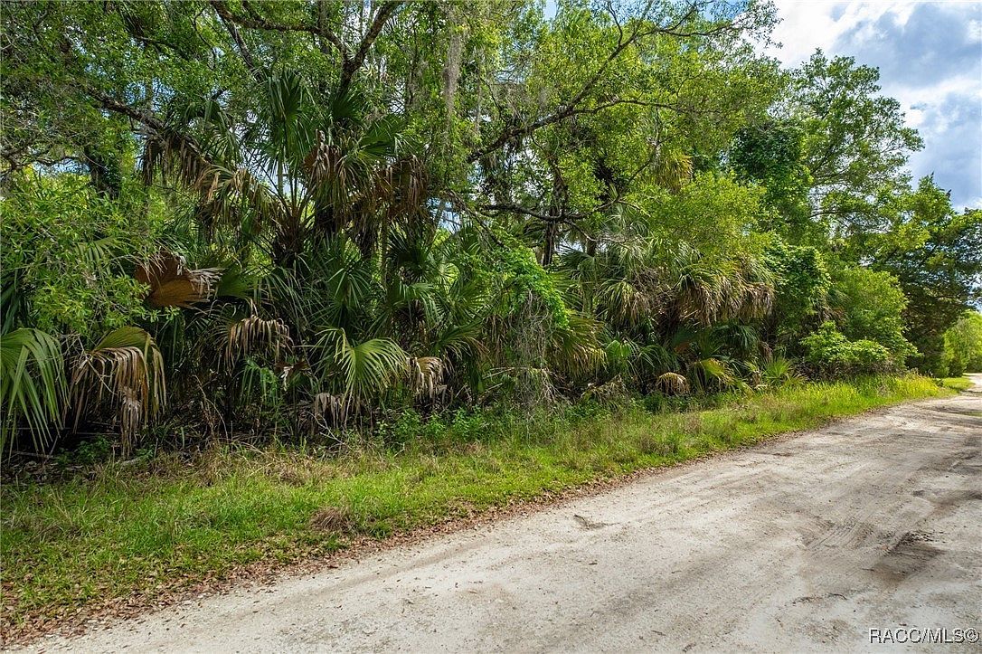 15085 W Roosters Crow Rd Inglis, FL 34449 - Thumbnail 3