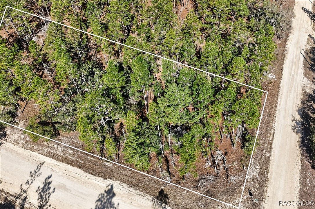 0 SE 2nd St Lot 6 Williston, FL 32696 - Thumbnail 3