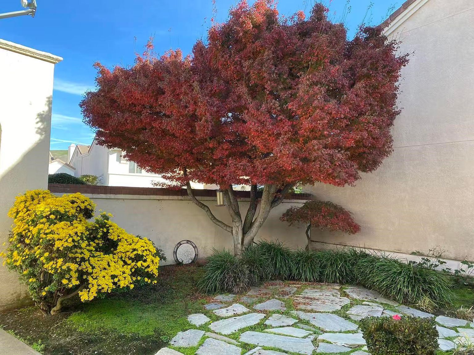 2190 Canyon Lakes Dr San Ramon, CA 94582 - Thumbnail 3