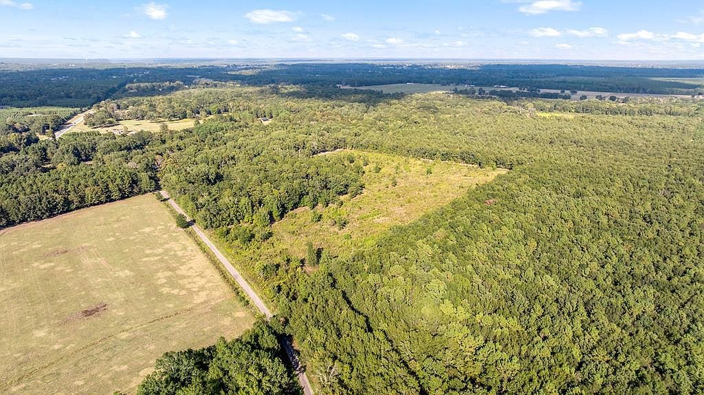 0 S County Road 4223 Simms, TX 75574 - Thumbnail 3