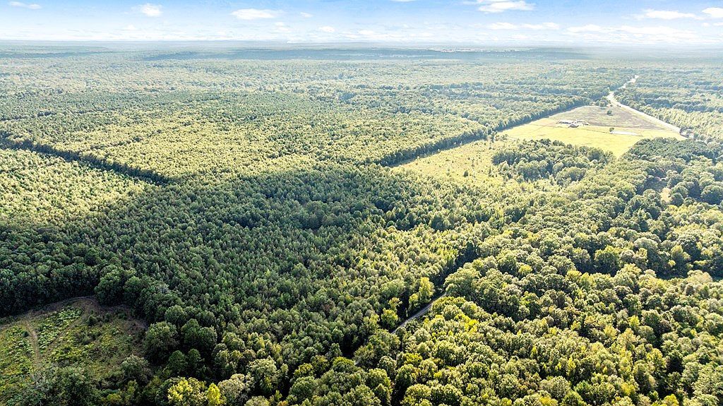 0 County Road 4223 Simms, TX 75574 - Thumbnail 3