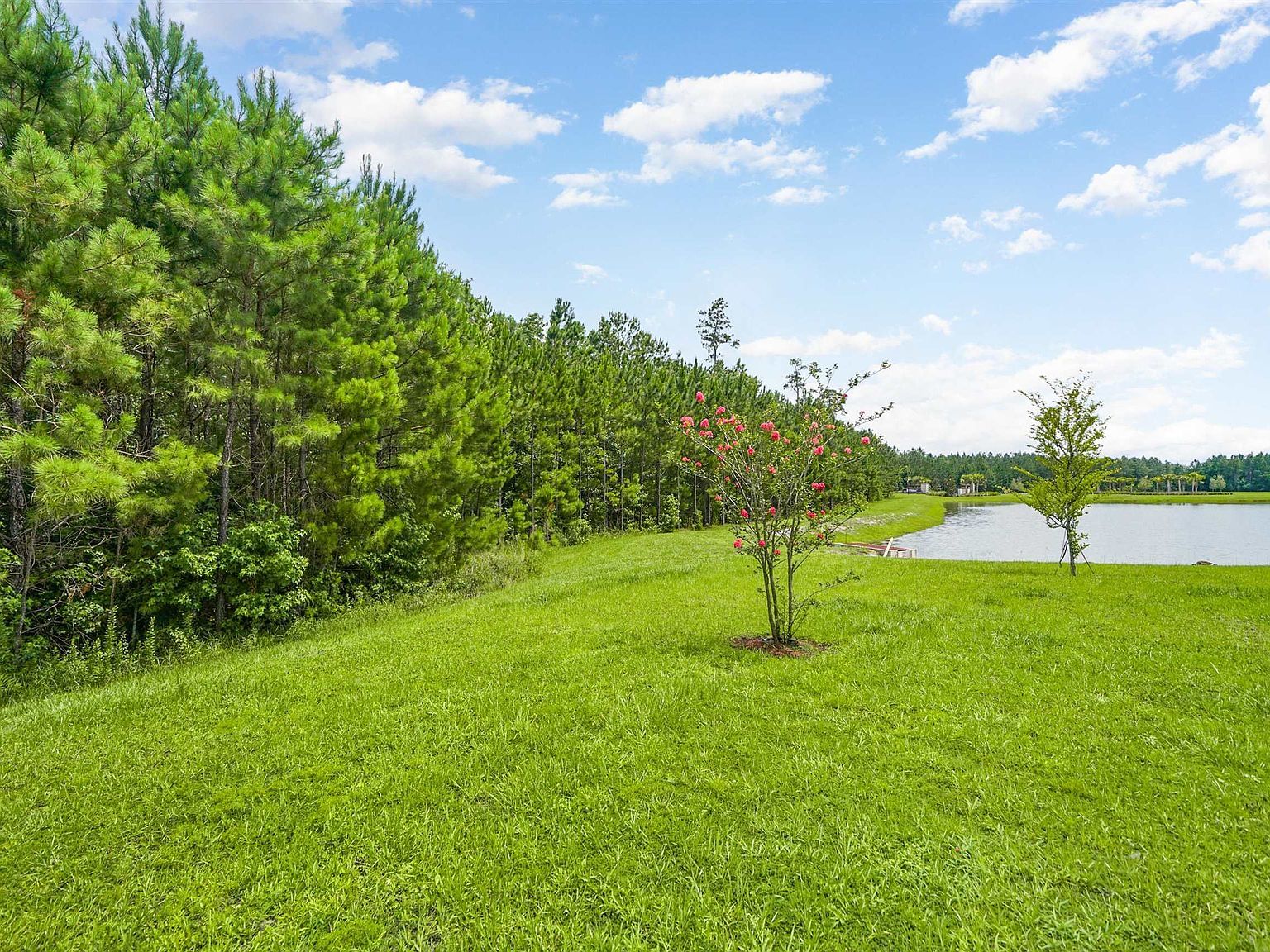 4004 Chihuahua Ct Jacksonville, FL 32218 - Thumbnail 3