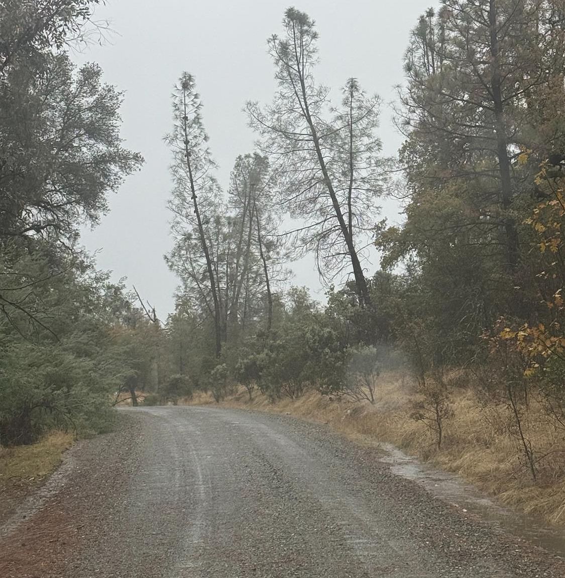 13710 Yuba Nevada Rd Dobbins, CA 95935 - Thumbnail 3