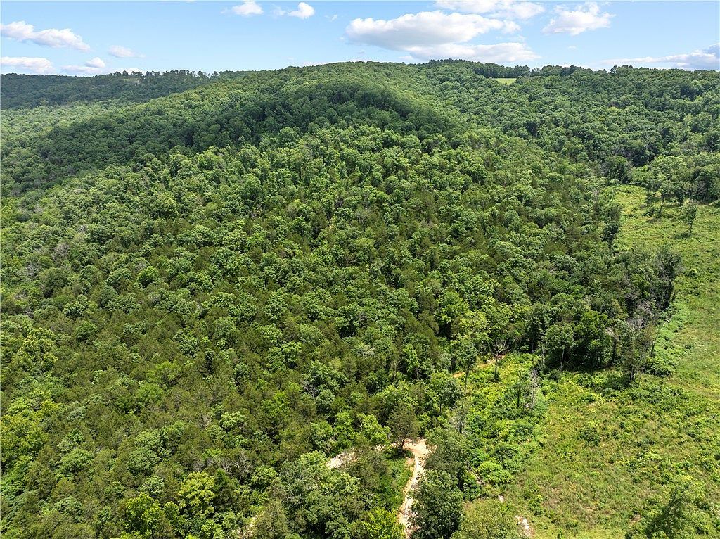 0 Nc 2900 Ave Marble Falls, AR 72648 - Thumbnail 3