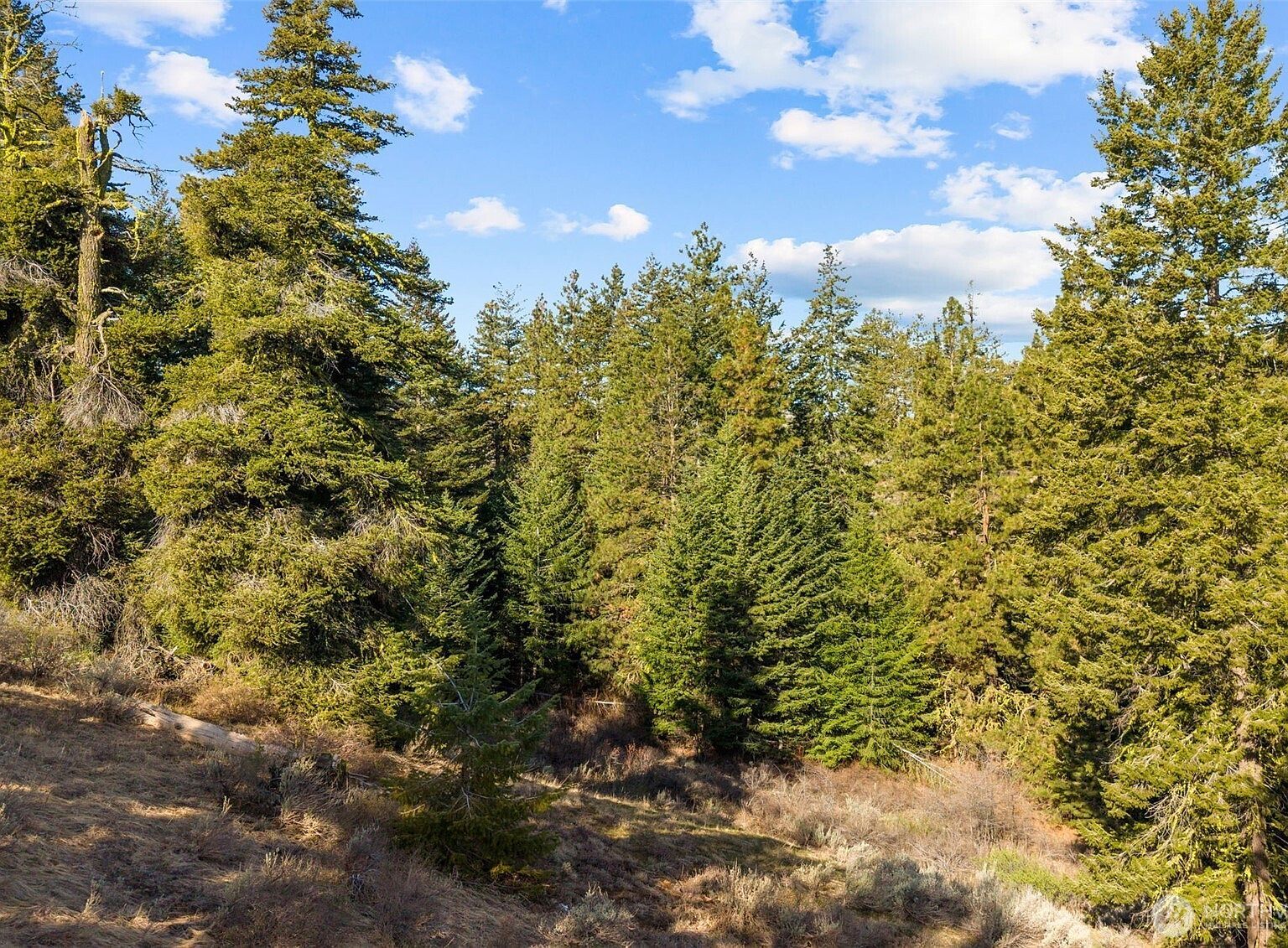 104 Yarrow Ln East Wenatchee, WA 98802 - Thumbnail 3