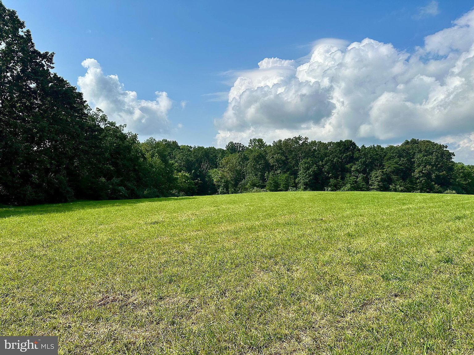 PARCEL 6-22A Black Hill Rd Rixeyville, VA 22737 - Thumbnail 3