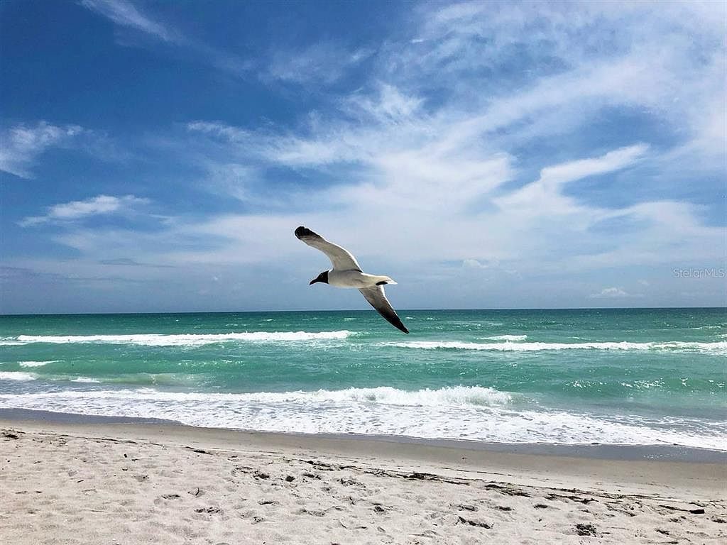 4310 Falmouth Dr Unit 102 Longboat Key, FL 34228 - Thumbnail 3