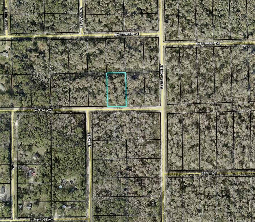 4030 Walnut Ave LOT 19 Bunnell, FL 32110  | Land/Lot