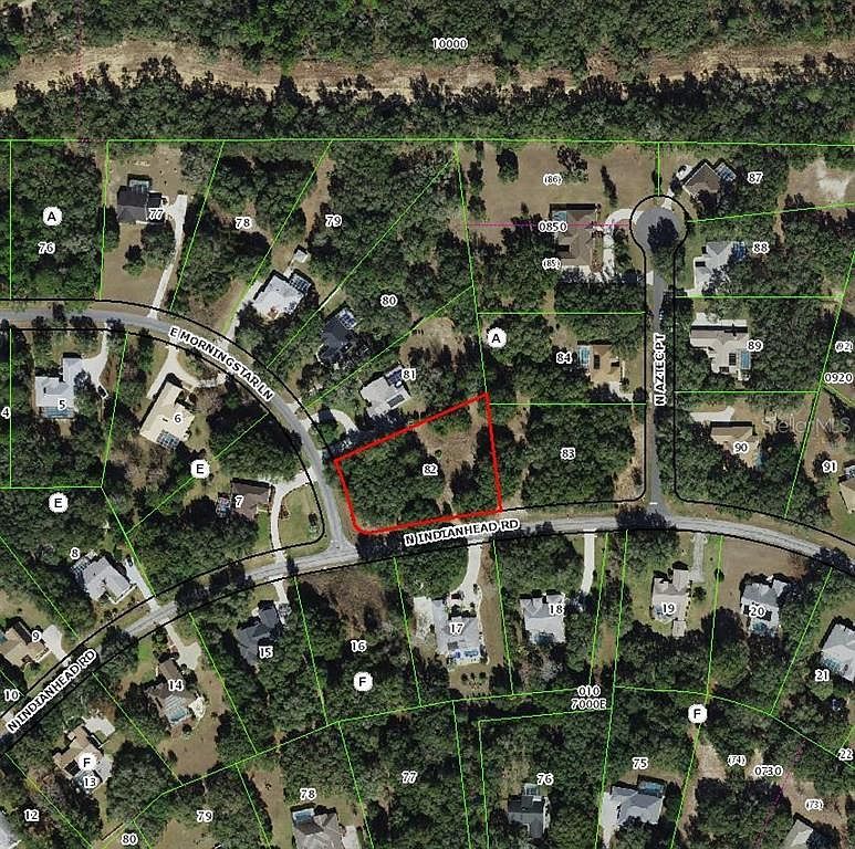 1085 E Morningstar Ln Lot 82 Hernando, FL 34442 - Thumbnail 3