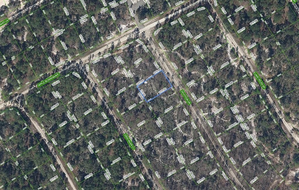522 Devotion Dr Lot 11 Lake Placid, FL 33852  | Land/Lot