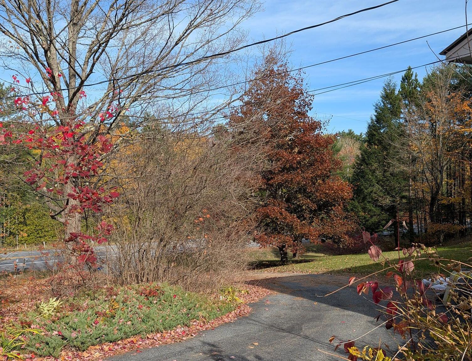 7707 Nys Rte #9N Elizabethtown, NY 12932 - Thumbnail 3