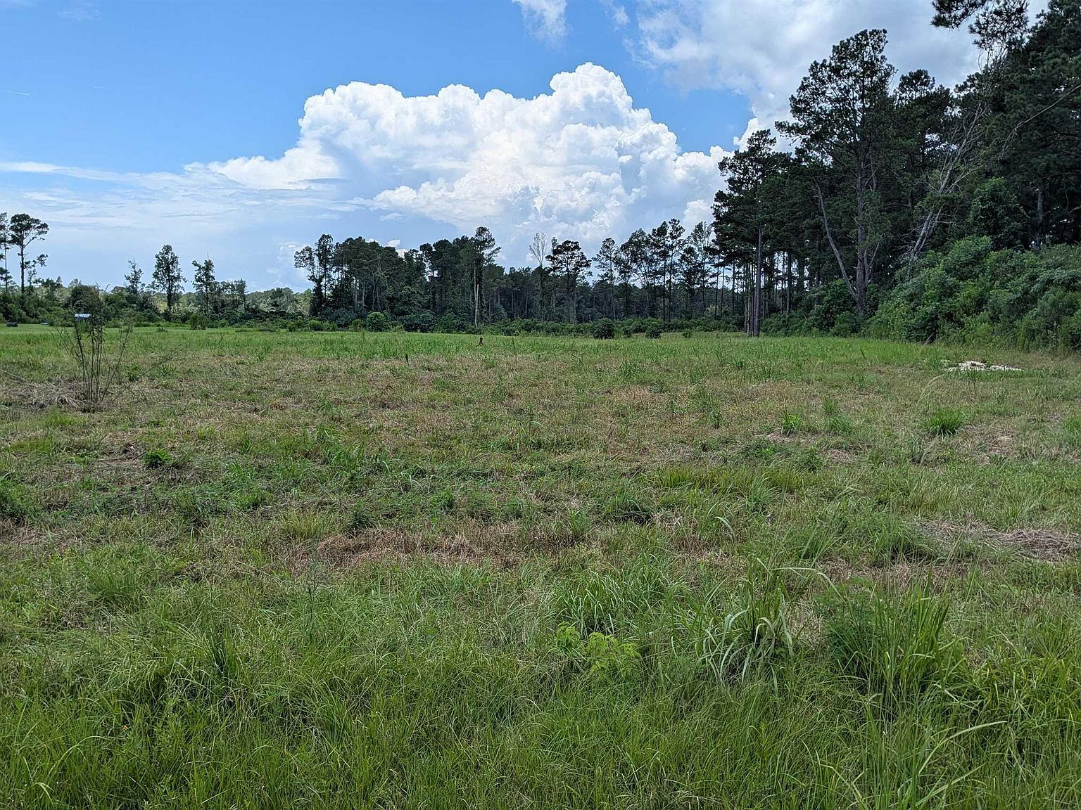 435 Tung Oil Rd LOT 2-B6 Pine Grove, LA 70453 - Thumbnail 3