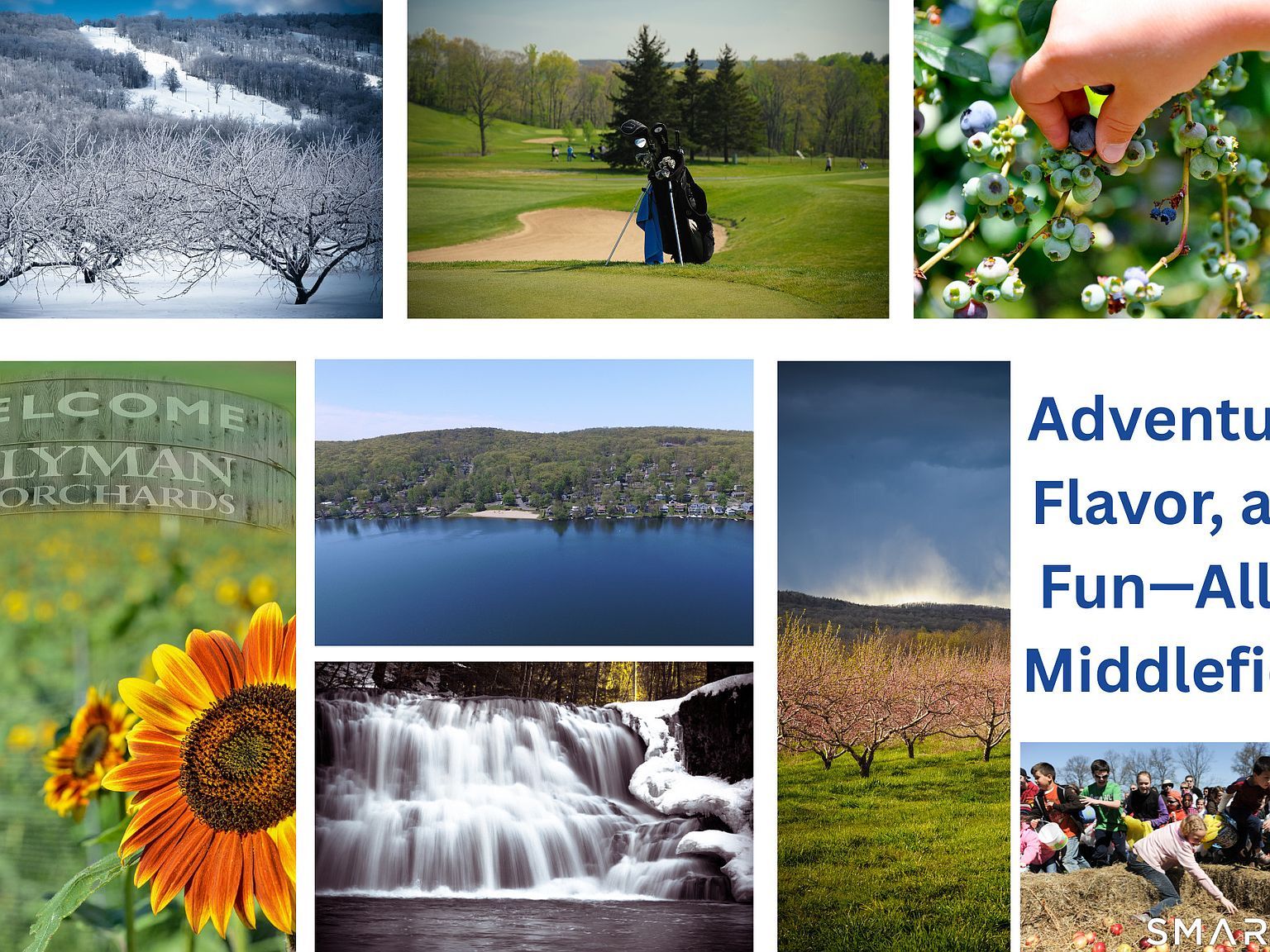 169 Cedar St Rockfall, CT 06481 - Thumbnail 3