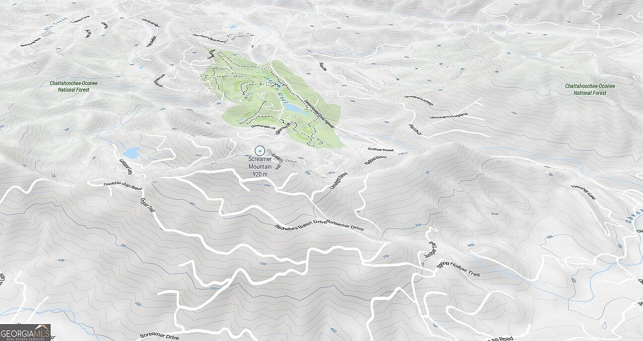 547 Saddle Gap Dr Clayton, GA 30525 - Thumbnail 3