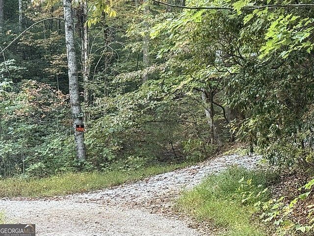 0 Wood Sorrel Ln LOT 727/726 Clayton, GA 30525 - Thumbnail 3