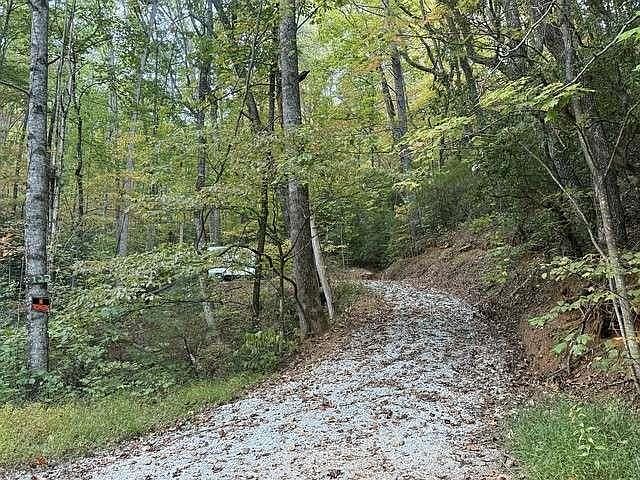 0 Wood Sorrel Ln #727 Clayton, GA 30525 - Thumbnail 3