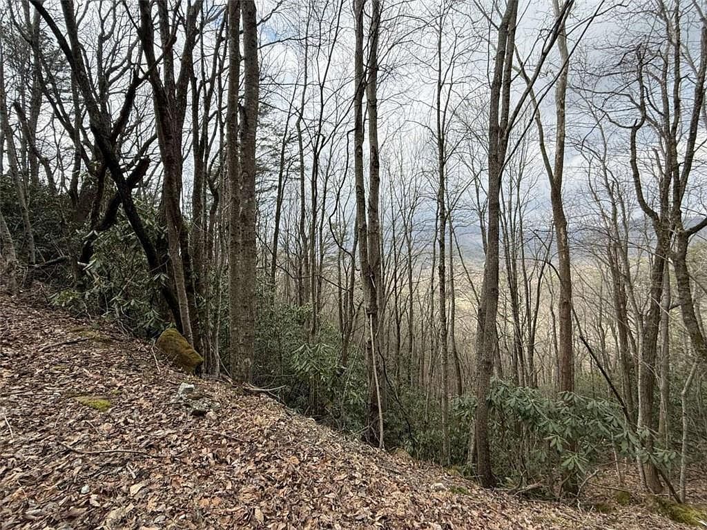 416 Screamer Dr Clayton, GA 30525 - Thumbnail 3