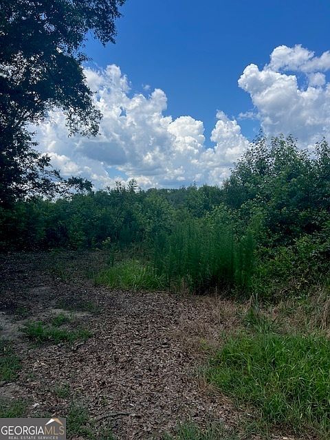 0 Wilson Rd Milner, GA 30257  | Land/Lot