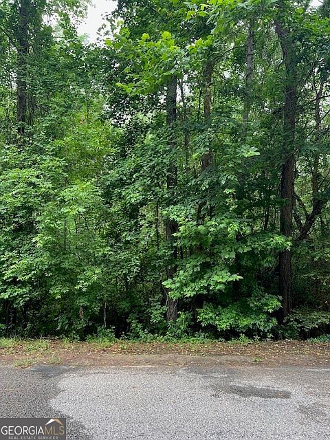 148 White Tail Hills Dr Jackson, GA 30233 - Thumbnail 3