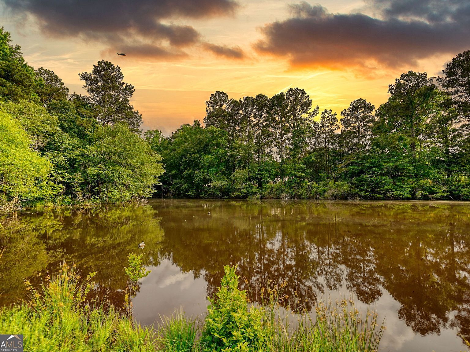 1226 Hull Rd Athens, GA 30601 - Thumbnail 3