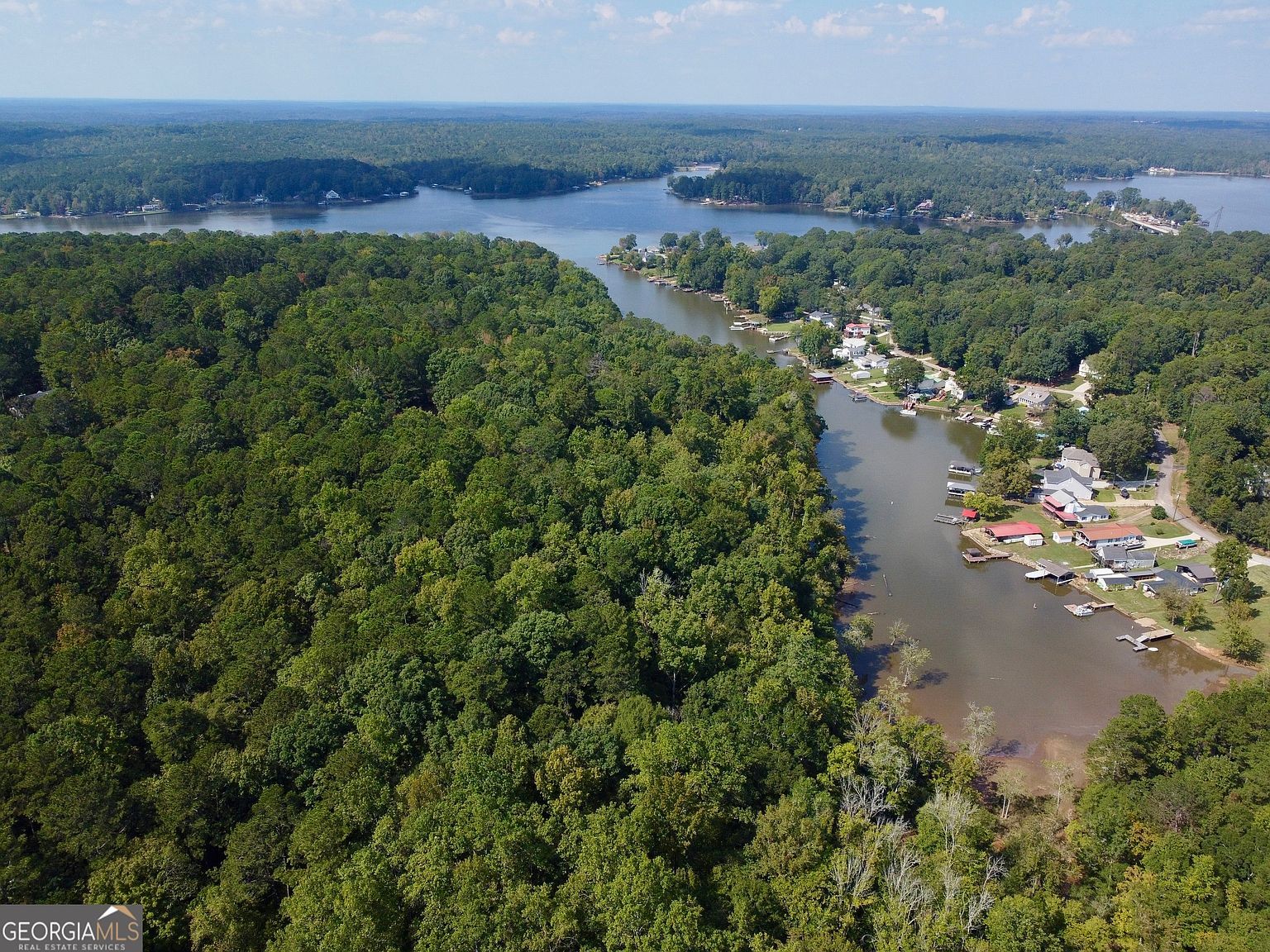 350 Hummingbird Dr Monticello, GA 31064 - Thumbnail 3