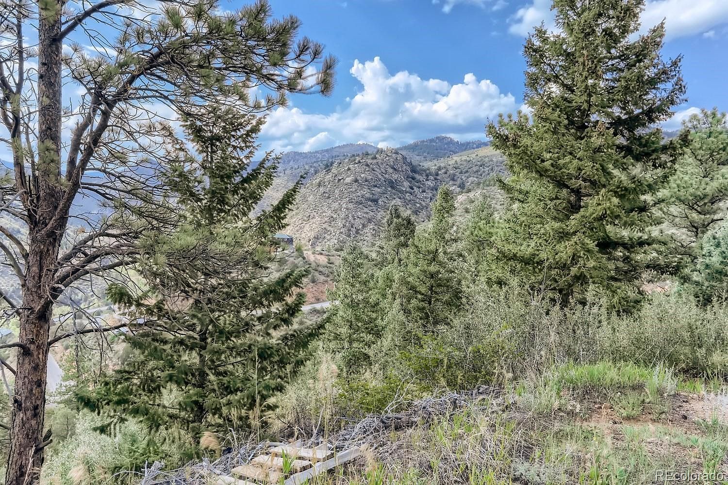 2154 Douglas Mountain Dr #28 Golden, CO 80403 - Thumbnail 3