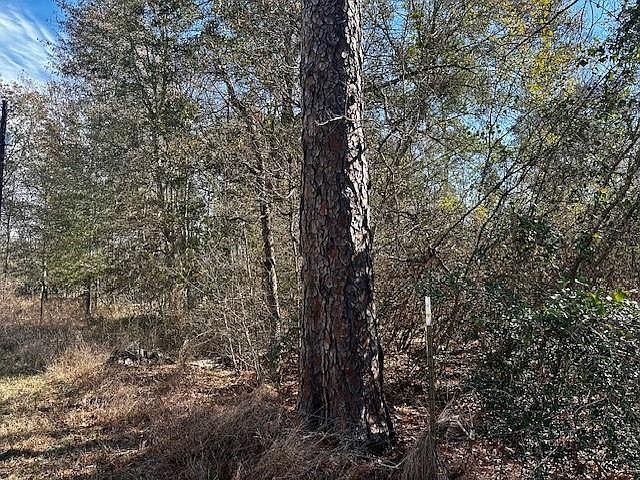 N/a Robinhood Ct/robinhood Ln Lot 2 Hockley, TX 77447 - Thumbnail 3