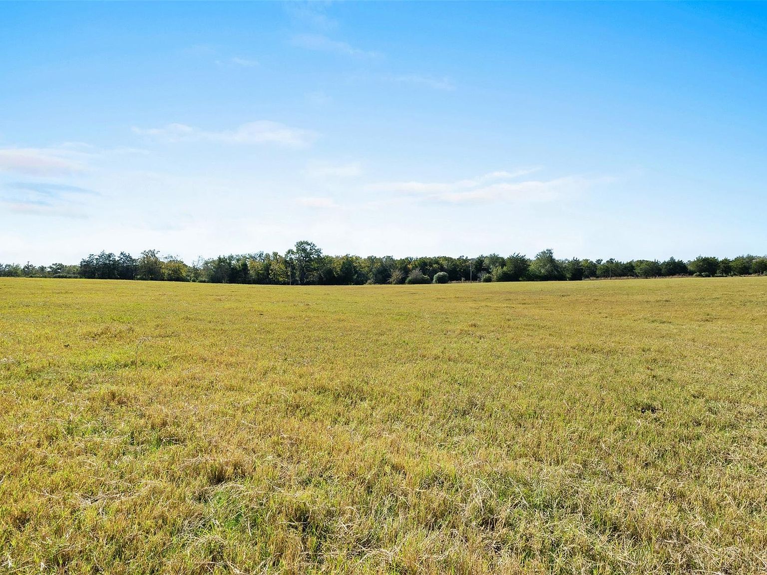 2801 Fm 1940 Franklin, TX 77856 - Thumbnail 3