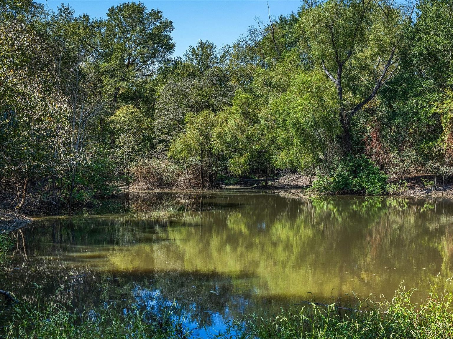 3180 Fm 1940 Franklin, TX 77856 - Thumbnail 3