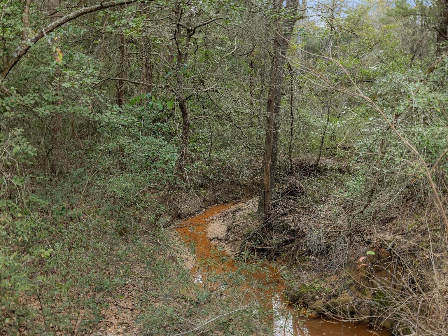 Private Road 3891 Marquez, TX 77865 - Thumbnail 3