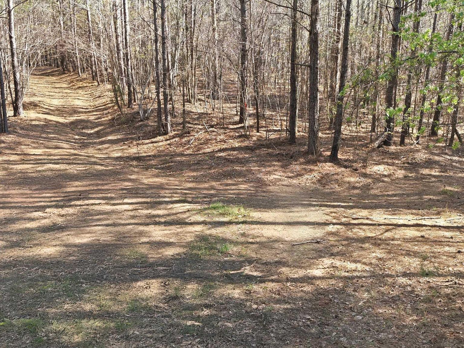 0 S Heyward Brockington Ct Columbia, SC 29203 - Thumbnail 3