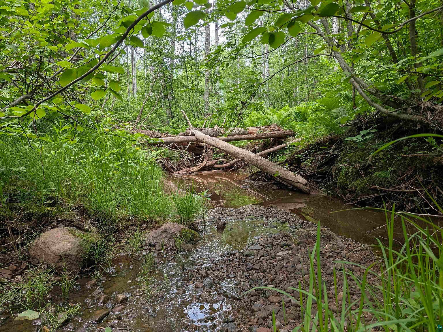 Near Tar Paper Aly Brule, WI 54820 - Thumbnail 3