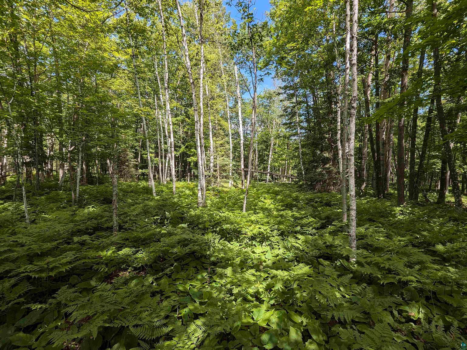 1 State Highway 13 Pt Wing, WI 54865 - Thumbnail 3