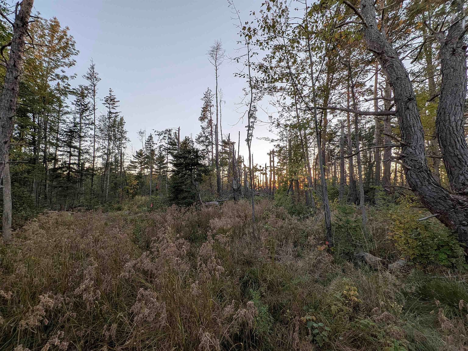 Peterson Hill Rd Bayfield, WI 54814 - Thumbnail 3