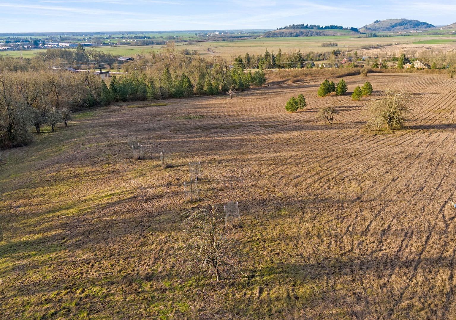 Diamond Ridge Loop Eugene, OR 97408 - Thumbnail 3