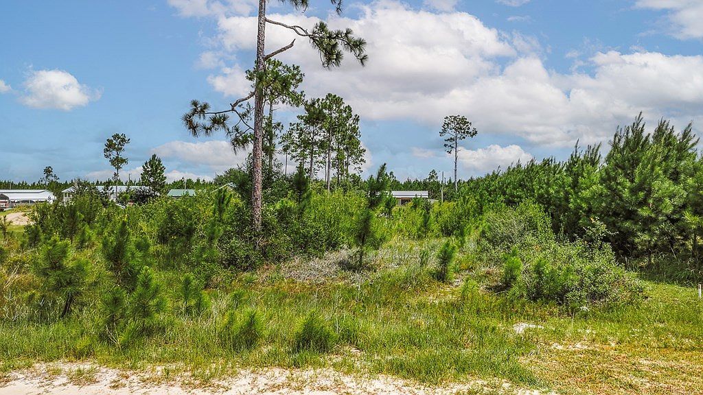 LOT 21 Chellsey St Wewahitchka, FL 32465 - Thumbnail 3