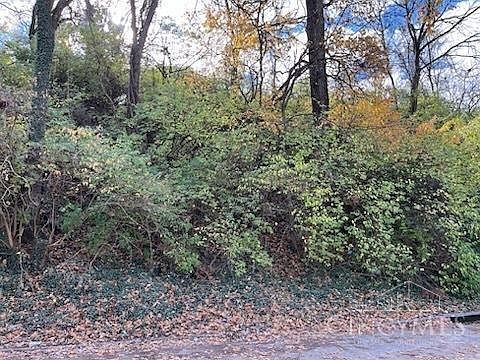 521 Tafel St Cincinnati, OH 45225 - Thumbnail 3