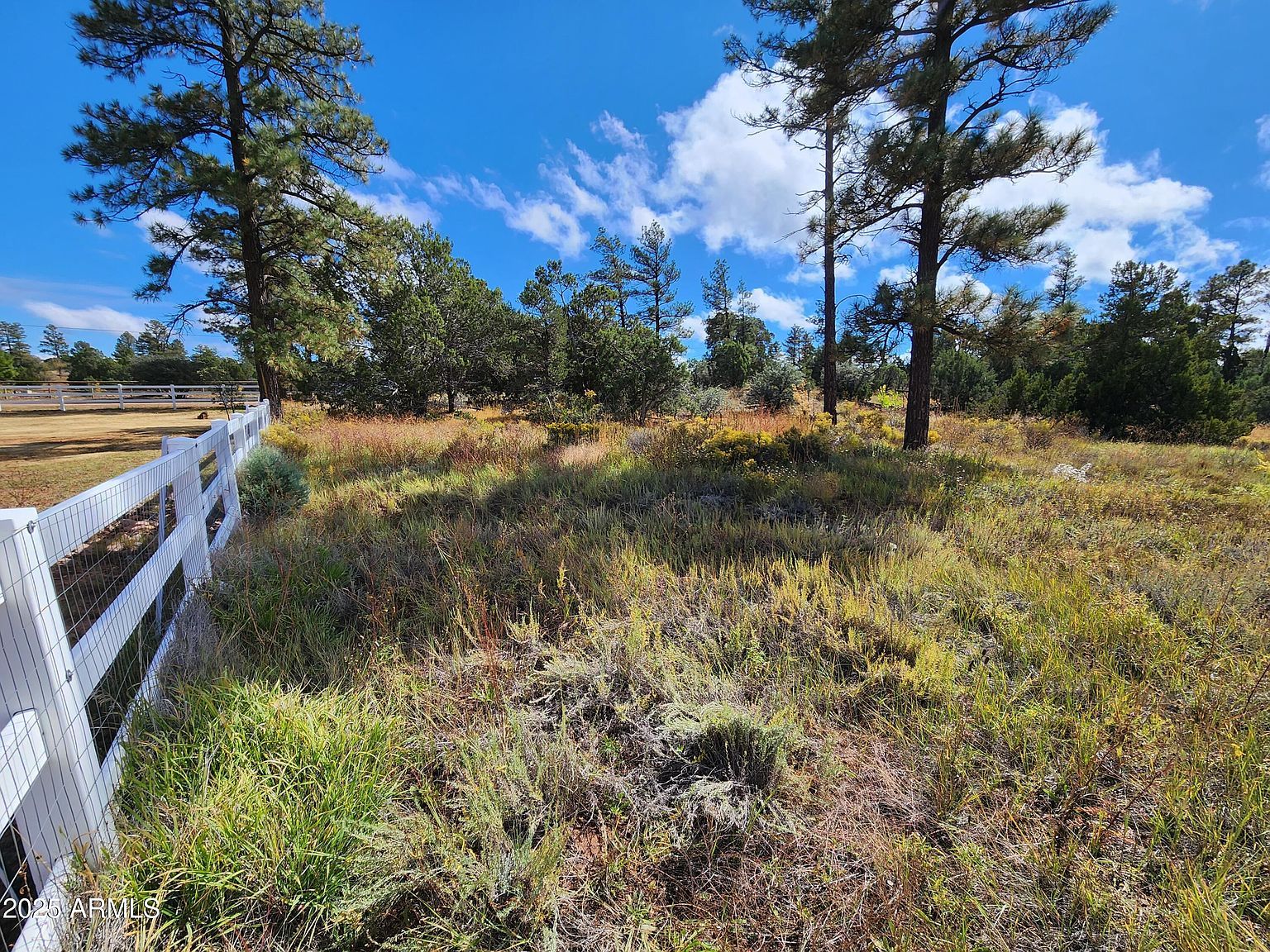 6662 State Route 260 Show Low, AZ 85901 - Thumbnail 3