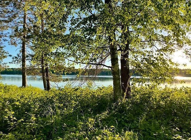 Variety Lake Dr NW Hackensack, MN 56452 - Thumbnail 3