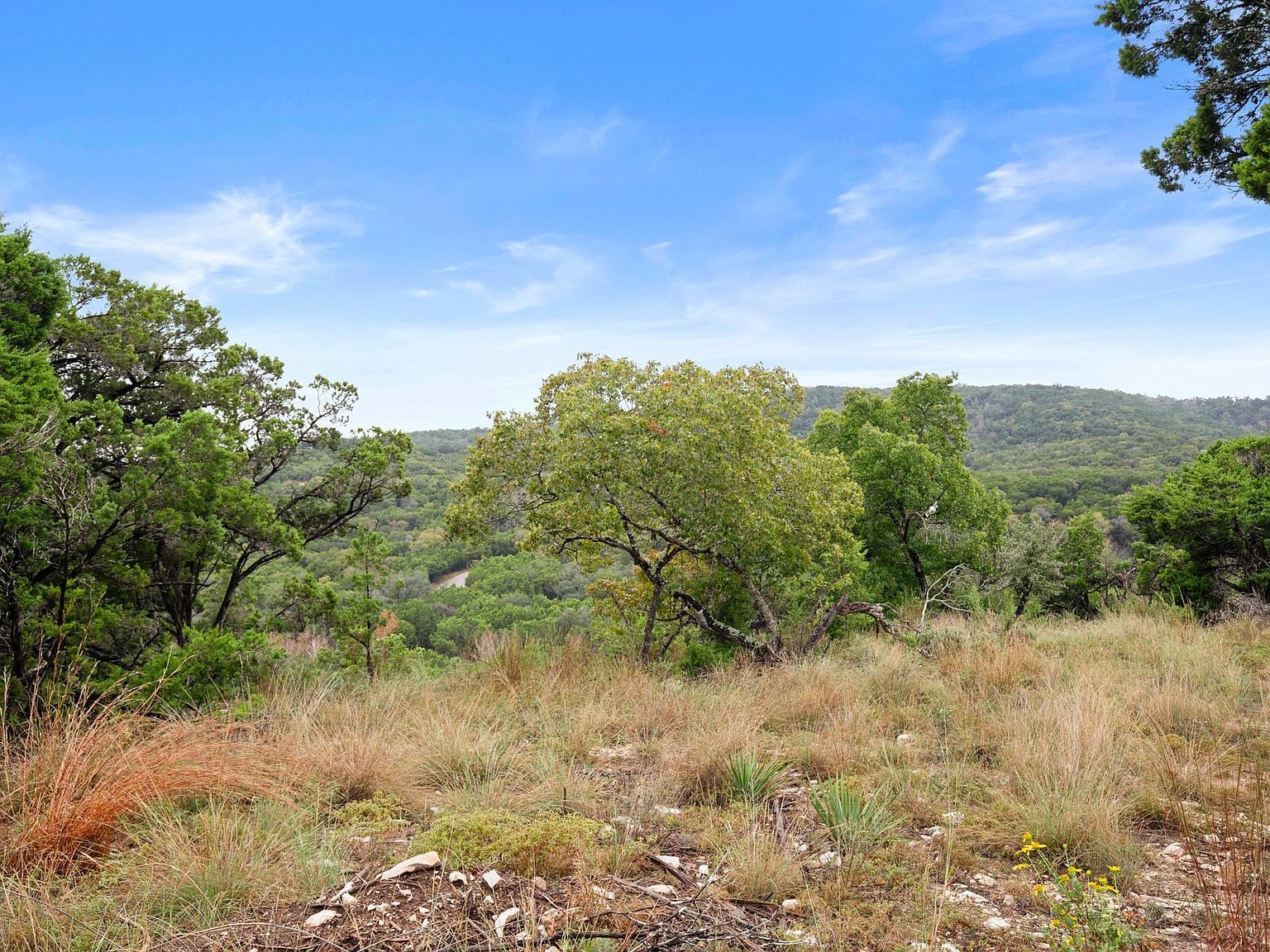 18211 Gregg Bluff Rd Leander, TX 78645 - Thumbnail 3