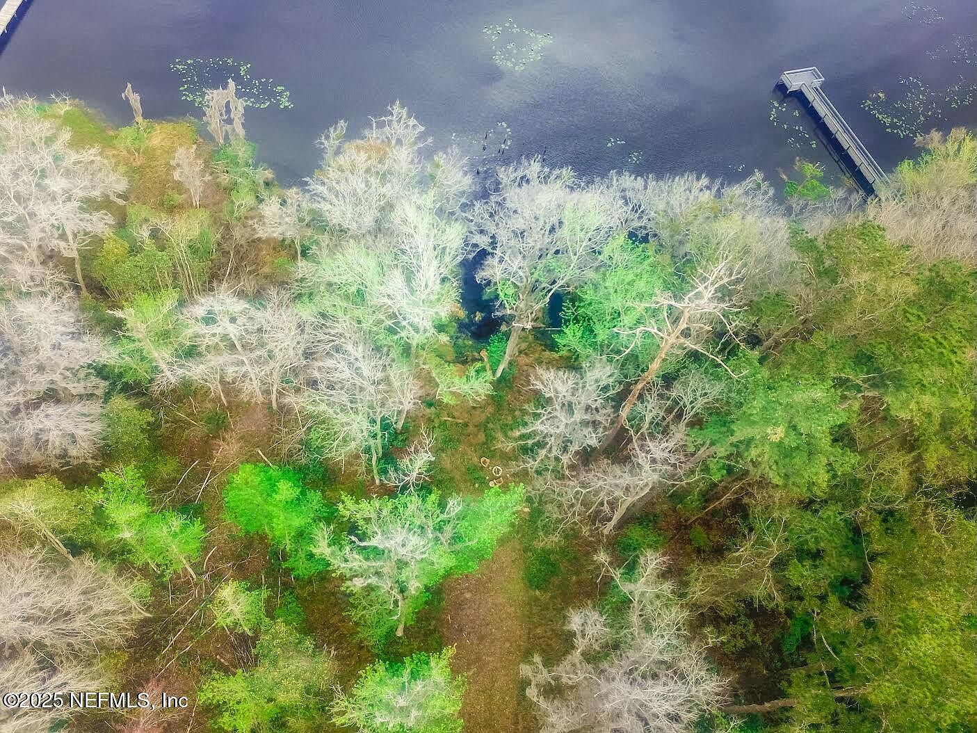 266 Lake Dr Florahome, FL 32140 - Thumbnail 3