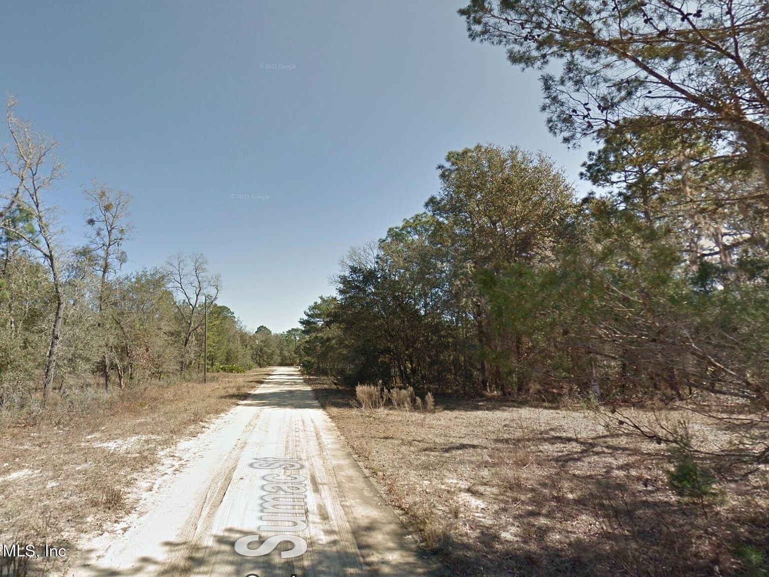 114 Sumac St, Interlachen, FL, 32148 - Thumbnail 3