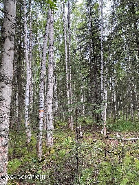 3846 N White Knight Dr Wasilla, AK 99623 - Thumbnail 3